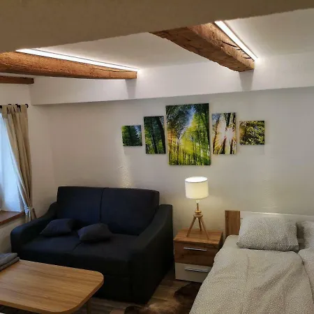 Appartement Deluxe Town Studio