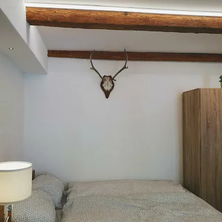 Appartement Deluxe Town Studio
