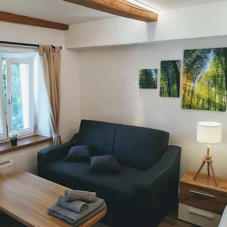 Appartement Deluxe Town Studio